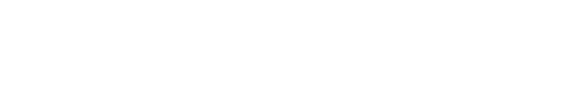 BOLD-PARTNER